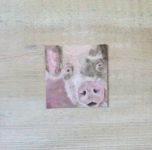 Schwein - 10x10 cm
